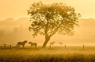 Goldene Pferde von Richard Guijt Photography Miniaturansicht