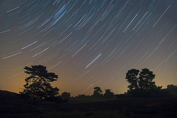  Startrail with Perseids (high iso) by Francois Debets