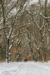 Marcher dans la forêt enneigée sur Moetwil en van Dijk - Fotografie