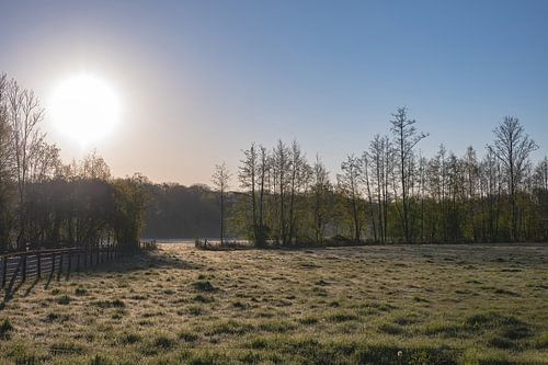 koude lenteochtend