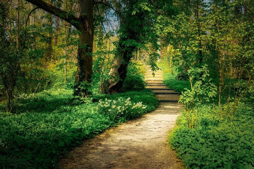 vista von Henry Smeets