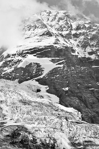 De Eigergletsjer en de Mönch, Berner Oberland, Zwitserland