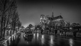 Notre Dame van Robbert Ladan