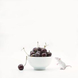 Cherry passion . Stilleven met humor en kersen van Saskia Dingemans Awarded Photographer