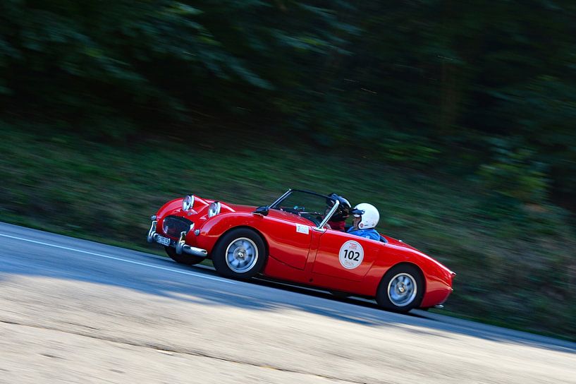 Austin HealeyFrogeye  am Berg - Eggberg Klassik 2019 - von Ingo Laue