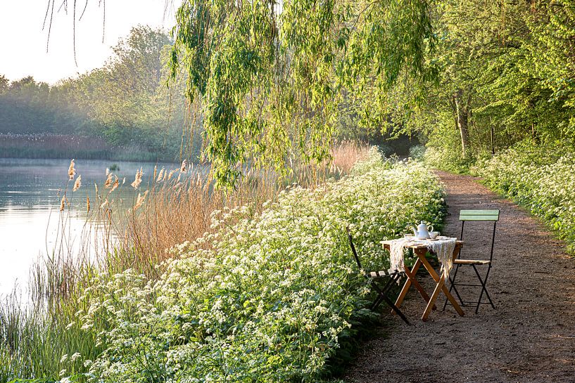 Garden Chair traveling in Zeeland IV van Irene van de Wege