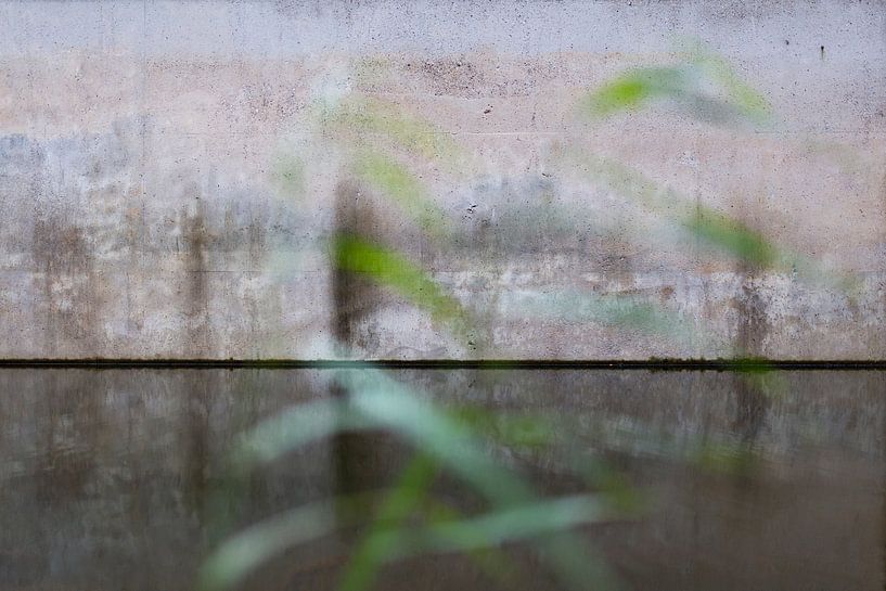Gras auf Beton von Anne Terpstra