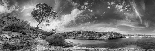 Kustlandschap met baai op Mallorca in zwart-wit.