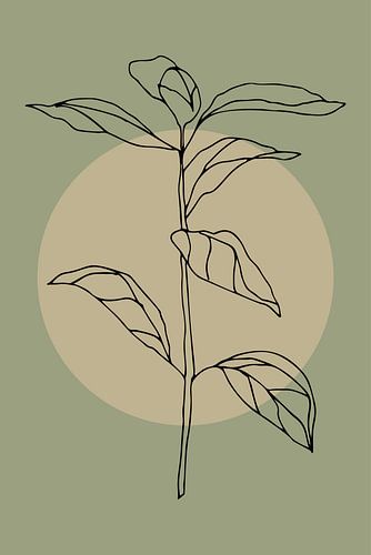 Minimalistische Japandi Botanische Kunst: De schoonheid van de natuur in eenvoud nr. 9
