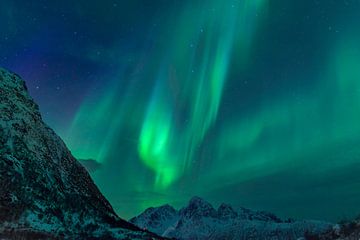 Northern Lights over the mountains at the Lofoten Islands in Nor by Sjoerd van der Wal