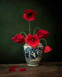 Poppy still life, inspired by the works of the Dutch Masters