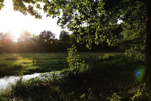 Bächlein durch die Wiesen