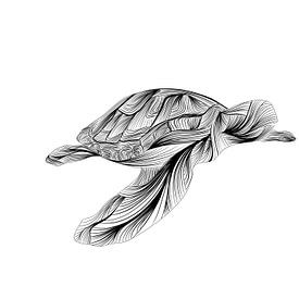 Poster schildpad - turtle - zwart wit - lijnen van Studio Tosca