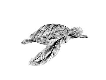 Poster schildpad - turtle - zwart wit - lijnen van Studio Tosca