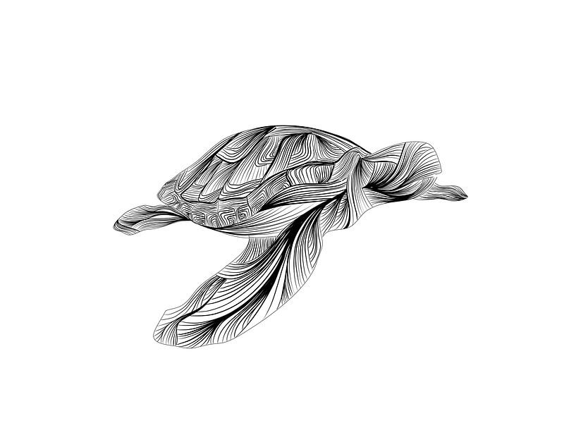 Poster schildpad - turtle - zwart wit - lijnen van Studio Tosca