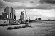 Pont Erasmus et Noordereiland à Rotterdam (photo en noir et blanc) par Mark De Rooij Aperçu