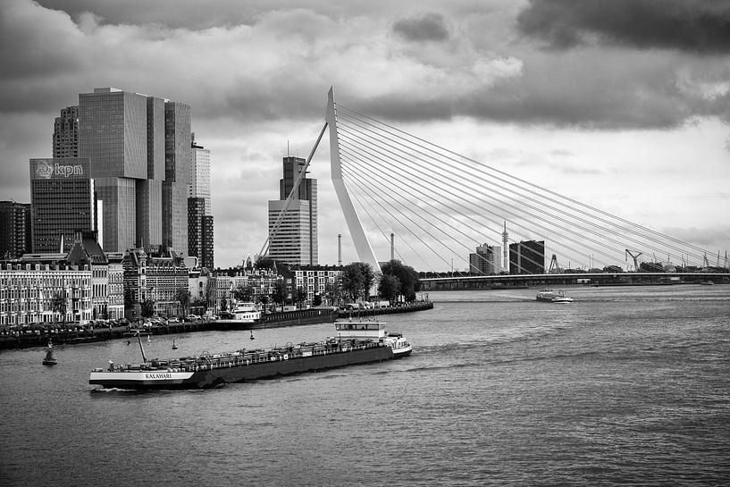 Pont Erasmus et Noordereiland à Rotterdam (photo en noir et blanc) par Mark De Rooij