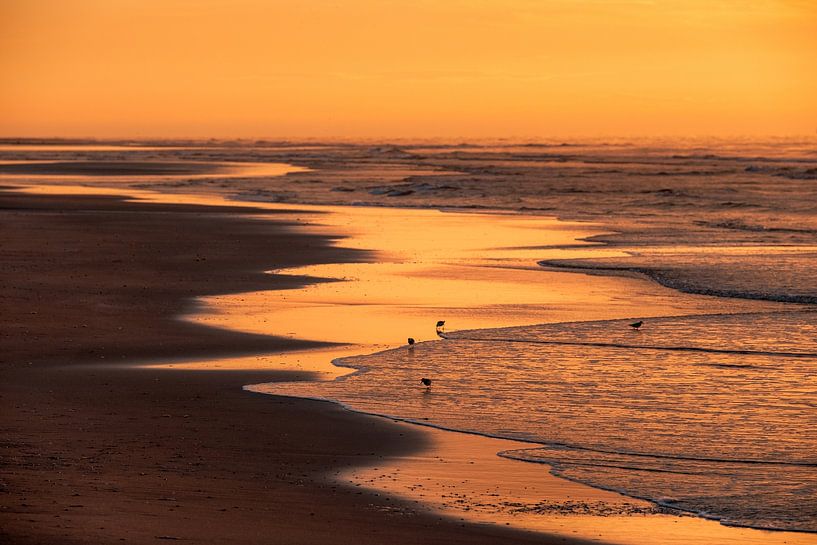 Avondrood - Nordseestrand Terschelling von Jurjen Veerman