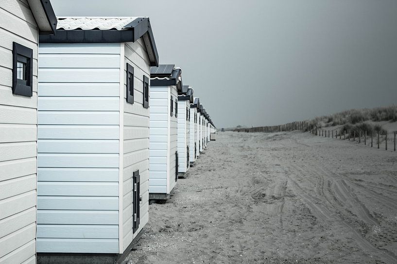 Beach Houses by Margo Smit