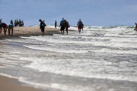 Un temps rude à Darßer Ort