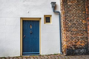 Porte indigo dans un mur de briques - Œuvre d'art « Modern Chic »