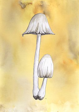 Bald ink mushroom by Jasper de Ruiter