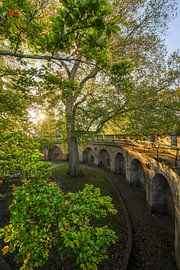 Castle of Leiden by Dirk van Egmond