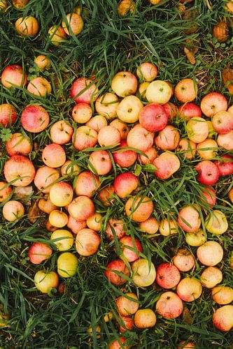 Appeltje voor de dorst