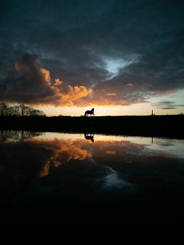 Pferd von Paul Glastra Photography