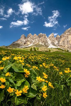 Spring in the Dolomites by Achim Thomae
