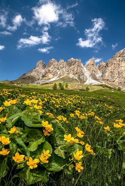 Frühling in den Dolomiten von Achim Thomae
