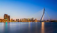 Le Pont Erasmus à Rotterdam par MS Fotografie | Marc van der Stelt Aperçu