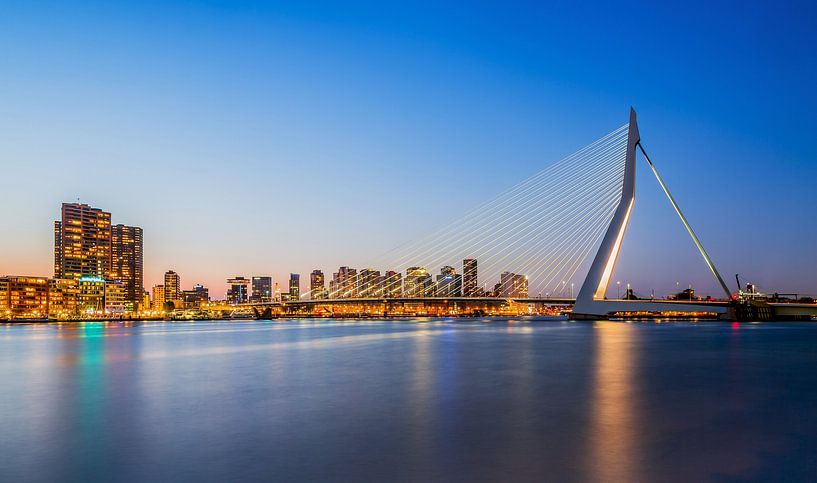 Le Pont Erasmus à Rotterdam par MS Fotografie | Marc van der Stelt