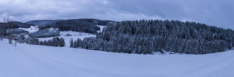 Allemagne, Forêt noire isolée paysage d'hiver extra large par adventure-photos