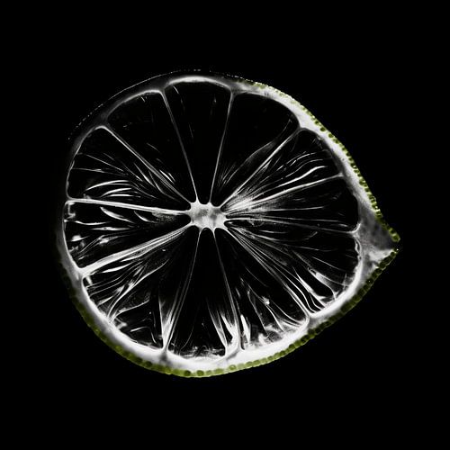Lime in Black and White