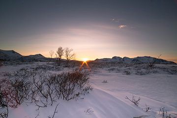 Winter bei Sonnenuntergang auf den Lofoten