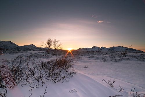 Sunset Over Lofoten