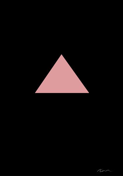 Roze driehoek, 1x Studio II van 1x
