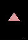 Roze driehoek, 1x Studio II van 1x thumbnail