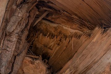 Baum teilen 1 von SW Arts