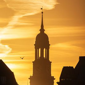 Michel Hamburg im Sonnenuntergang von Nils Steiner