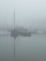 Misty