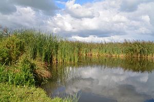 Spiegelnde Wolken in den Vlieten