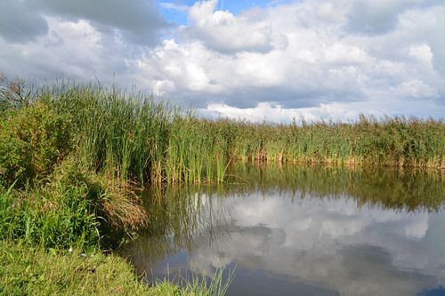 Wolken spiegelen in de Vlieten