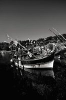 Sea view of boats moored in Niel harbour in Black and white