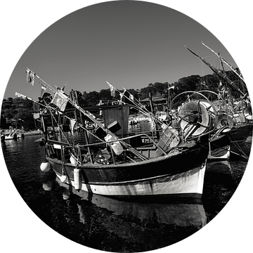 Zeezicht op boten aangemeerd in de haven van Niel in Zwart wit van Youri Mahieu