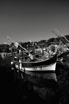 Blick auf die im Hafen von Niel vertäuten Boote in Schwarz-Weiß von Youri Mahieu