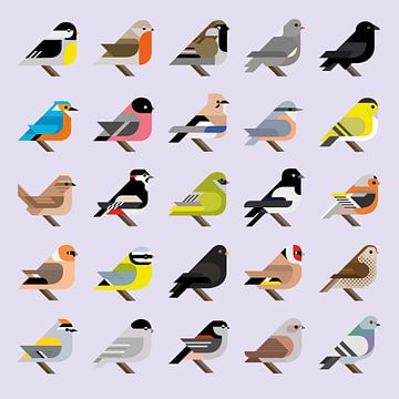 Grafische vogels - 25 Nederlandse tuinvogels in stijl (paarse editie) van Tim de Leeuw