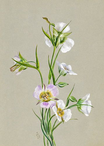 On the Road To Monument (1881)