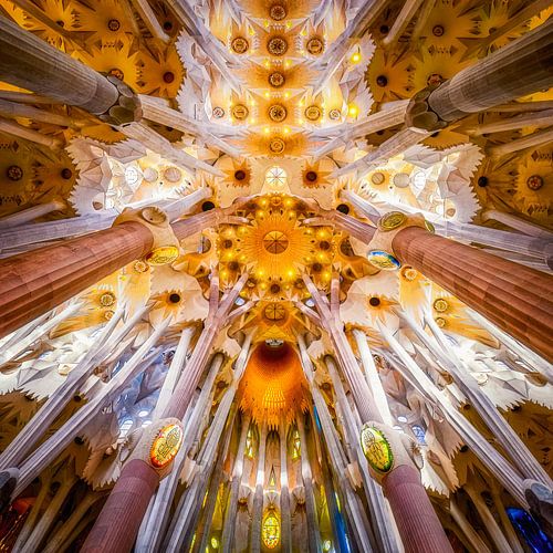 Organic architecture